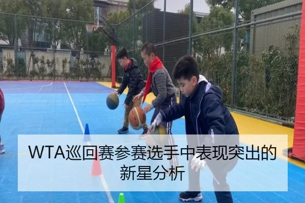 WTA巡回赛参赛选手中表现突出的新星分析