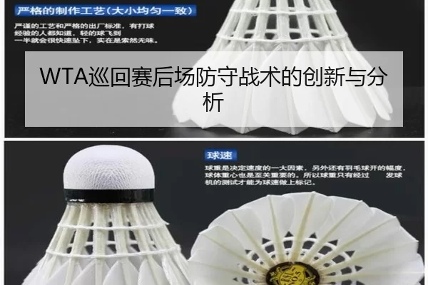 WTA巡回赛后场防守战术的创新与分析