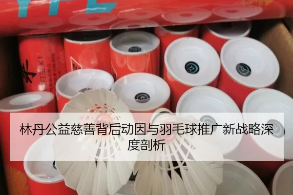 林丹公益慈善背后动因与羽毛球推广新战略深度剖析